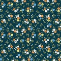 Floral pattern. Royalty Free Stock Photo